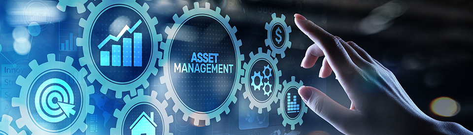 Service & Asset Management Project Updates: Asset Management